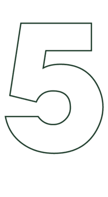 icon 5
