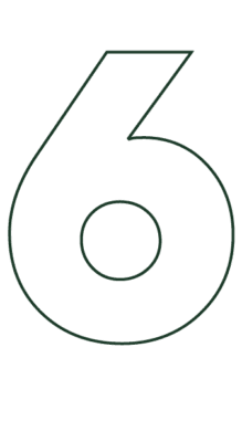 icon 6