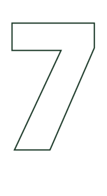 icon 7