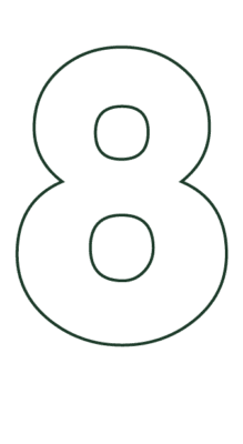 icon 8