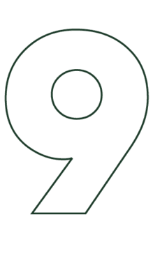 icon 9