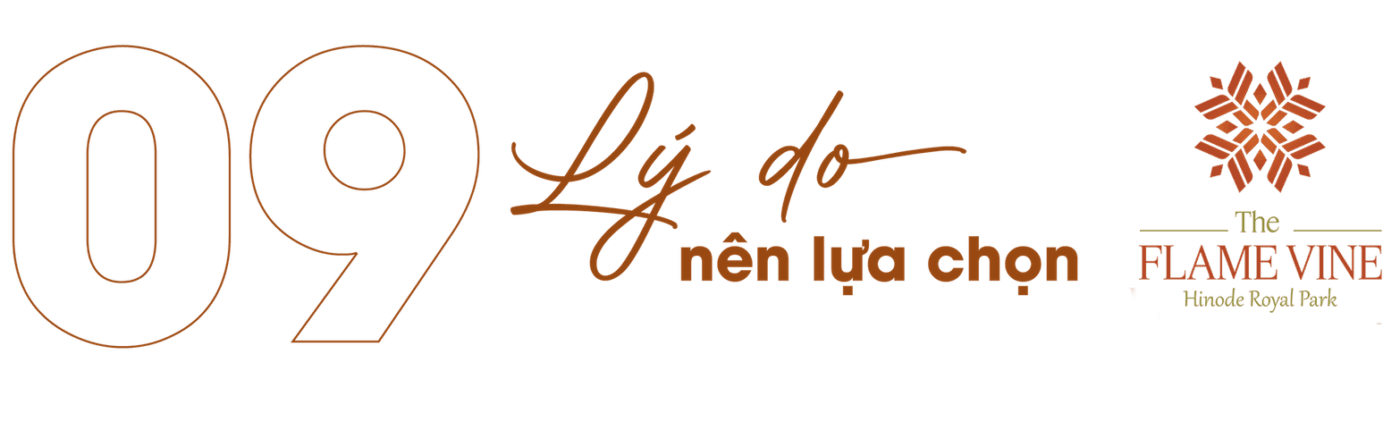 lido 20260301175254 za xq