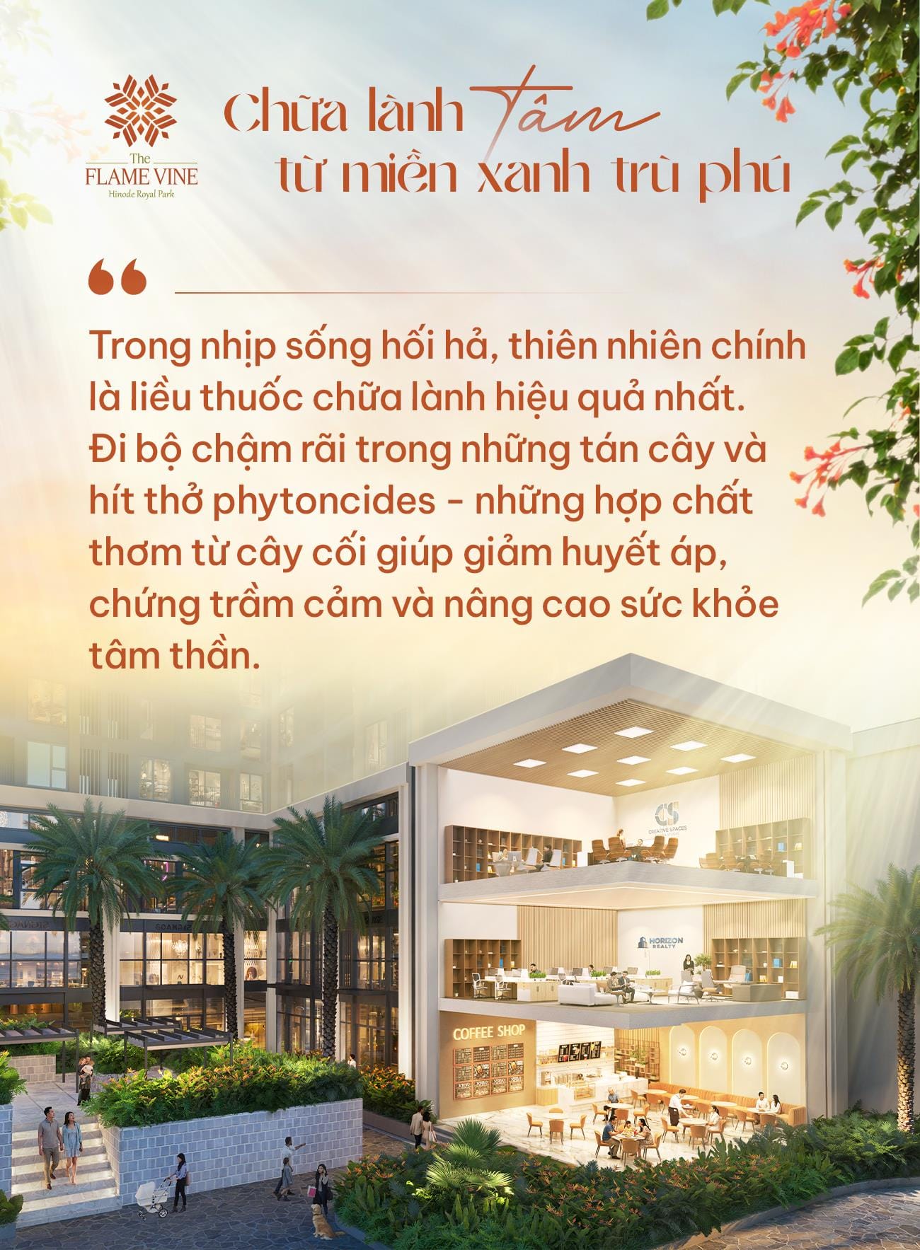 The Flame Vine – Nơi khởi đầu hành trình chăm sóc Thân - Tâm - Trí 5 photo 4 1776691834030457019808 1776739102434 17767391029101594810394 1